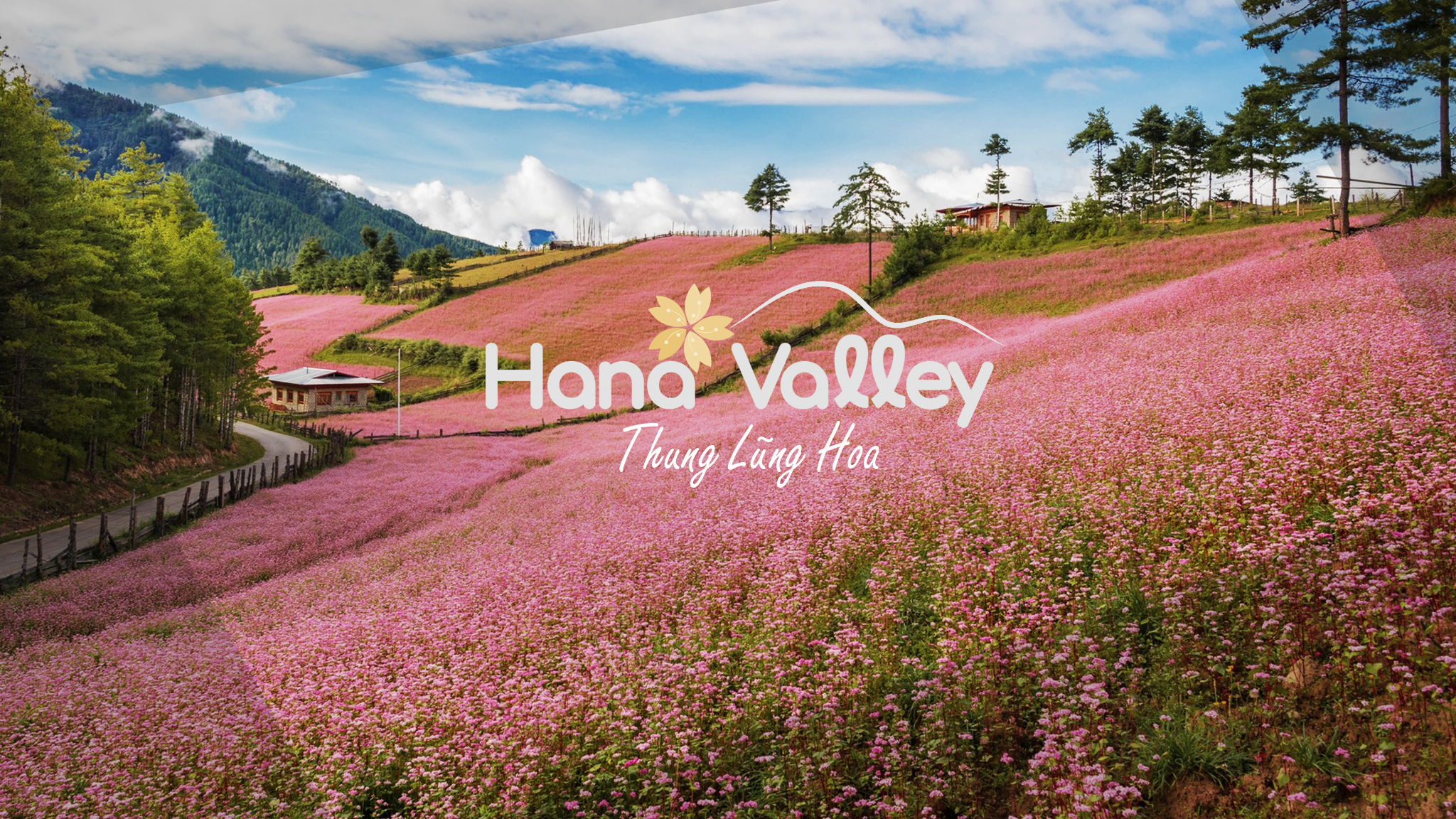 Hana Valley cover